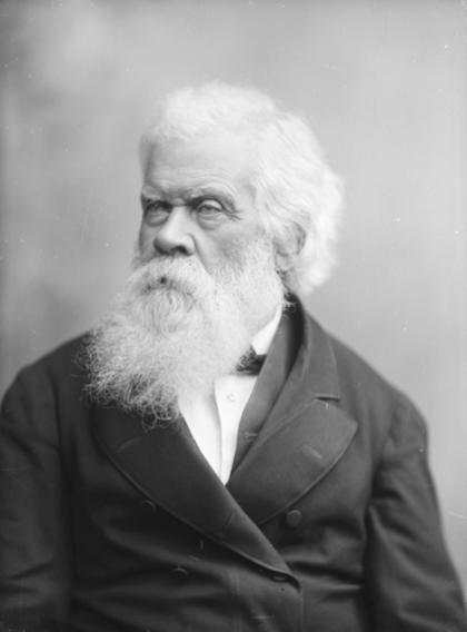 Portrait of Sir Henry Parkes